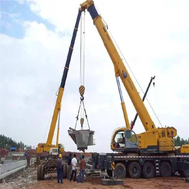 南岸小型吊机出租电话|厂房设备吊装方案|24小时服务覆盖